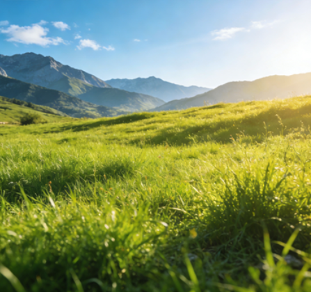 DiscuzQ 社区运营-钰泽科创 - IT 技术博客 | WordPress 建站 | 服务器运维 | 企业数字化服务平台